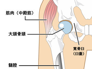 苦手な解剖生理学