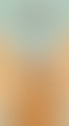 胃腸の酷使 50代女性の「コリ」「老化」「ホルモン」に及ぼす影響