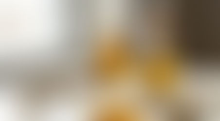 キャスターオイルについて、続き。