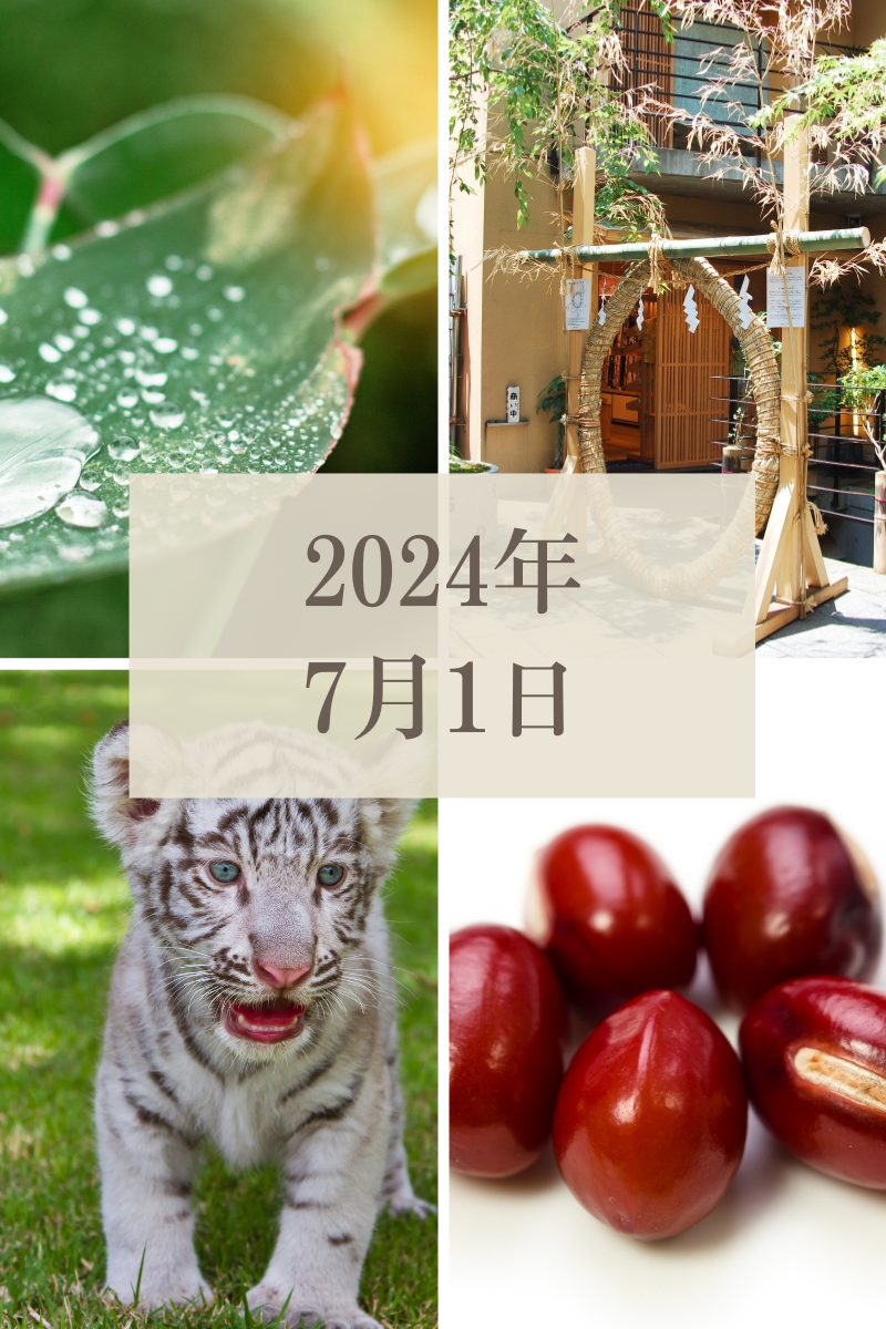 今日から7月