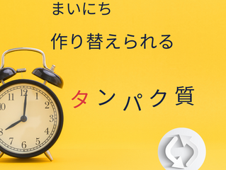 いまさら聞けない!たんぱく質ってなに?