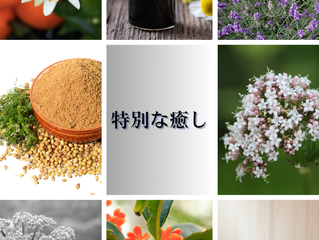 特別な癒しをもたらす精油