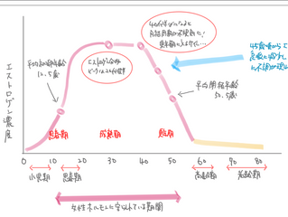 エストロゲン、、女性ホルモンのこと