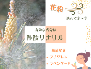 花粉症たいさく⑵
