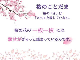桜のことだま(言霊)