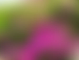 taeAromaから、時計回りにお散歩するとこんな風です。