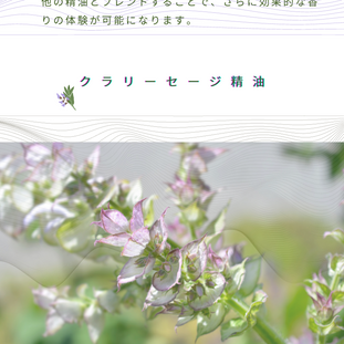 クラリーセージ精油　30代のお客様：気分の浮き沈みが激しい