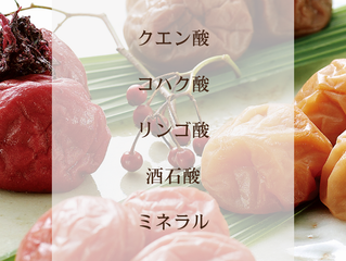 梅干し 骨!美肌!痩せる!貧血にもいい!