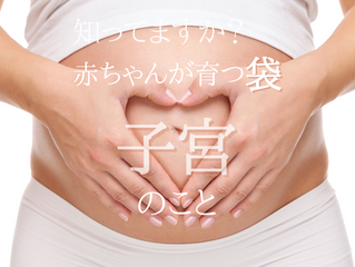赤ちゃんが育つ袋「子宮」。骨盤の中にあり、筋肉でできてること知ってますか?