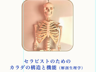 9月からスタートする講座