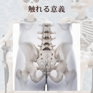 仙骨に触れる意義