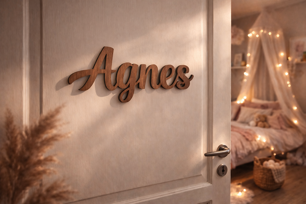 Agnes (2).png