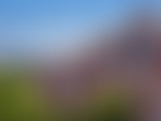 Let us help you navigate this crazy mortgage world.