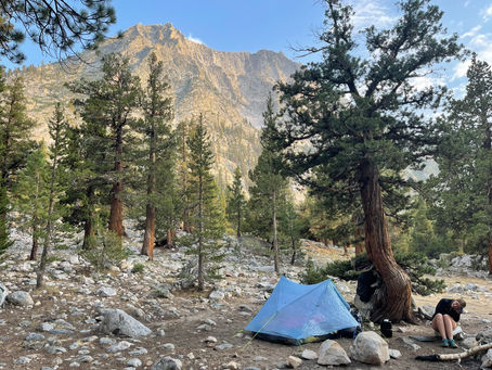 Camping amidst the majestic beauty of the Sierra Nevada mountains, a Zpacks duplex tent is nestled among towering trees and rugged terrain.