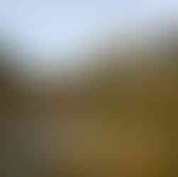 Water is plentiful on the trail