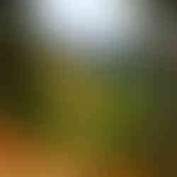 The North Fork Zone descending from trail rider pass