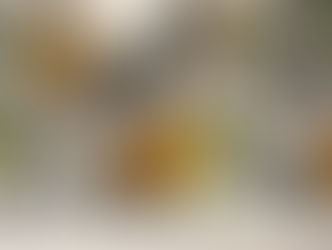 Vegan tempura shrimp sushi vega