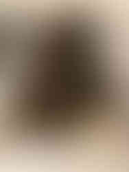 plate of oshinko maki sushi rolls with rettich Daikon 