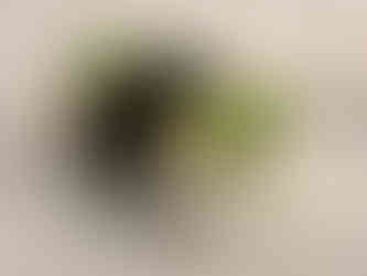 vegan cucumber nigiri