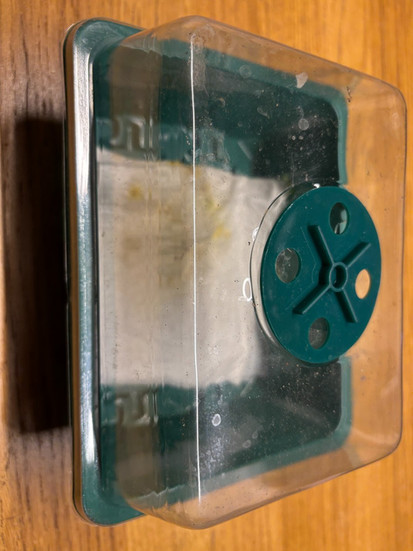 germinating seeds at home