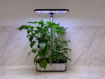 A Beginner’s Guide to Hydroponics