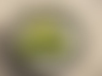 Kappa Maki - A Classic Vegan Sushi Roll