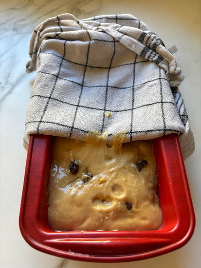 Covered sourdough cake after 24 hours of fermentation