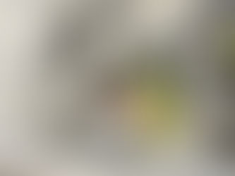 California sushi roll home made recipe with surimi