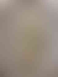 tempura roll looks messy