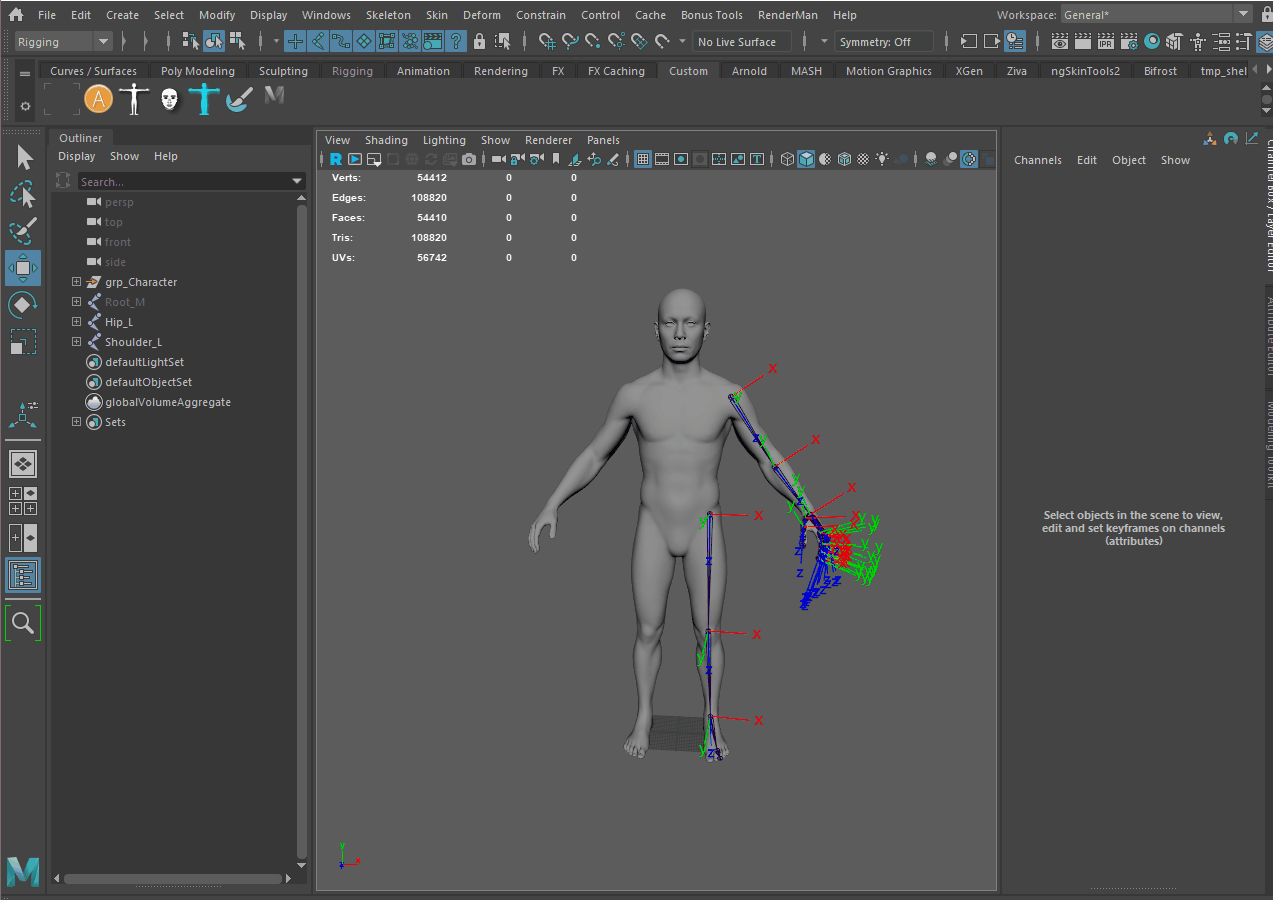 rig character