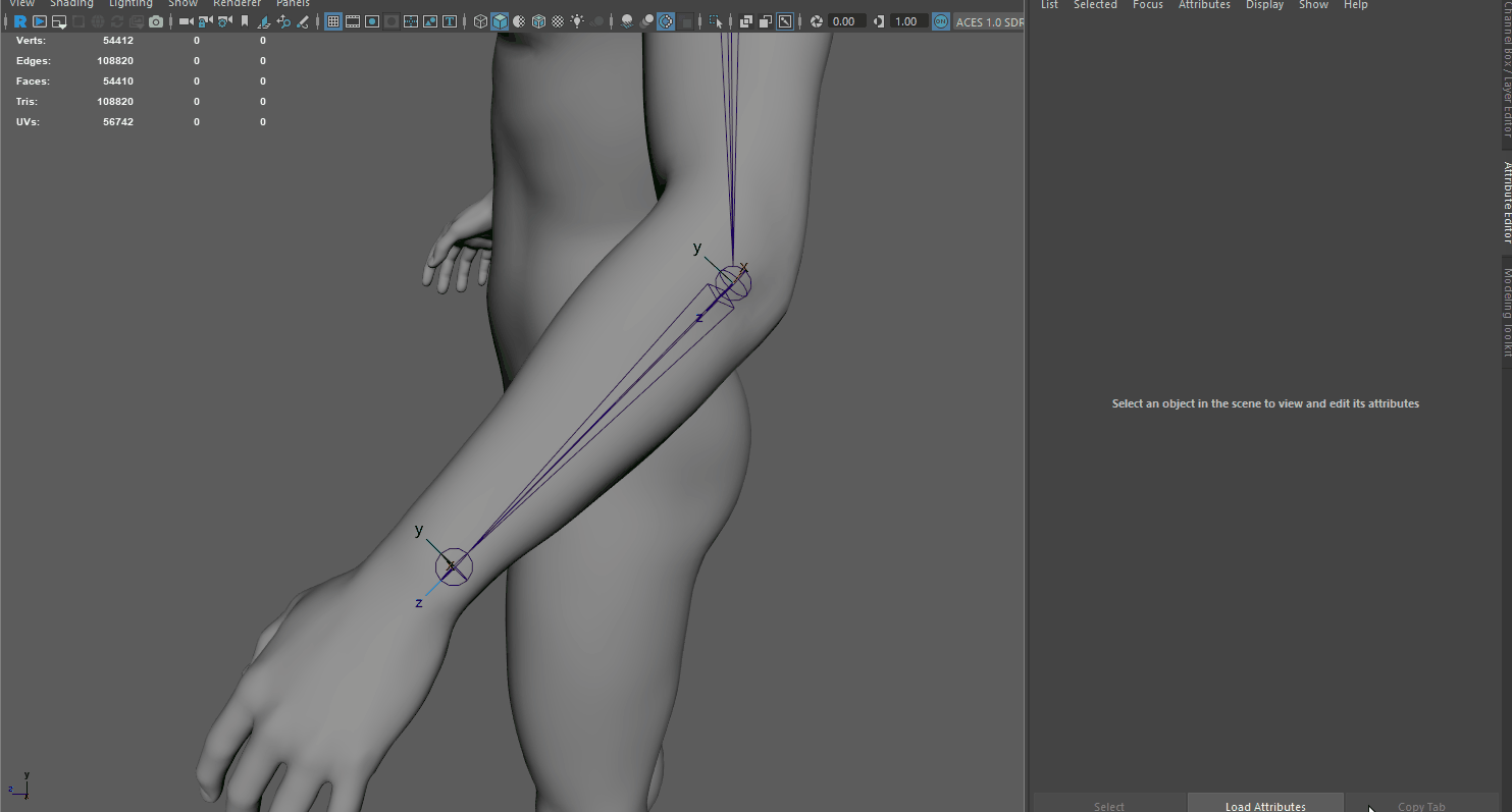 rig maya
