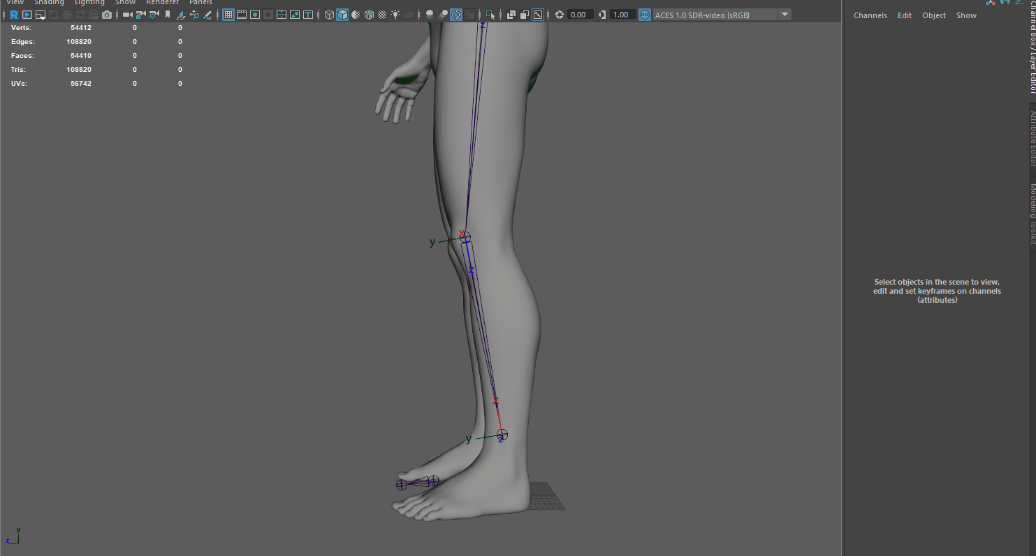 rig maya legs
