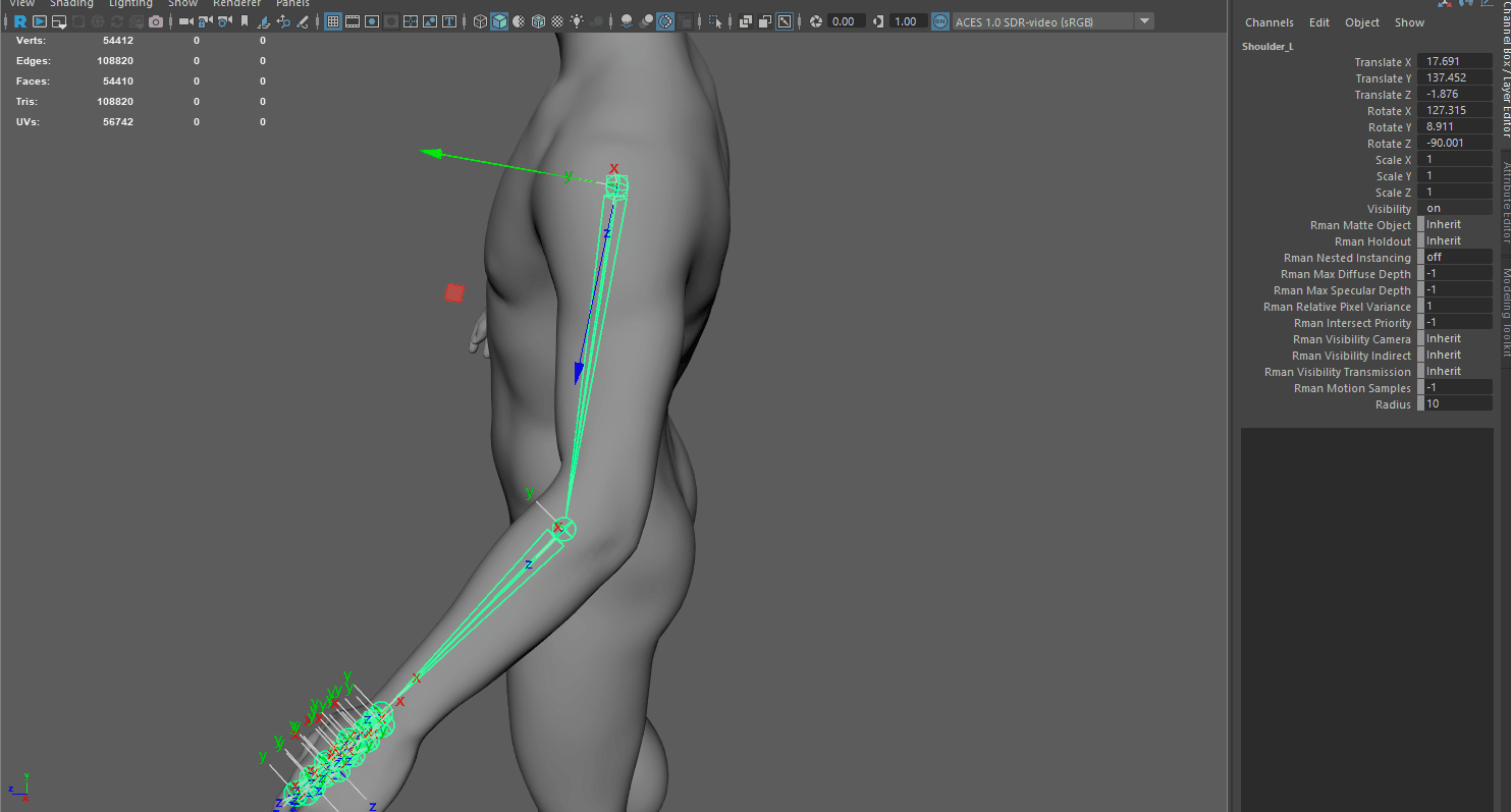 rig maya