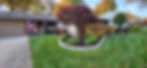 20231026_093350.jpg