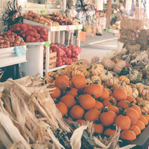 9 Things to do in the Fall - Napa Valley
