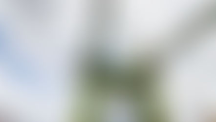 London’s Bridges : Hammersmith to Albert