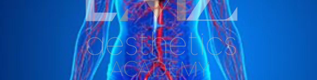 Focus Awards Level 4 Award in Facial Anatomy and Physiology (RQF)(603/7310/6)