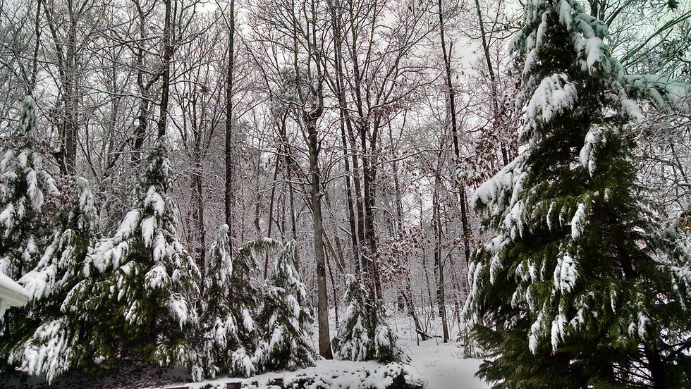 IMG_20160122_133942273_HDR