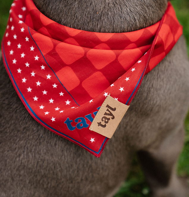 TAYL-CRIMSON-HERITAGE-PUP 1.png