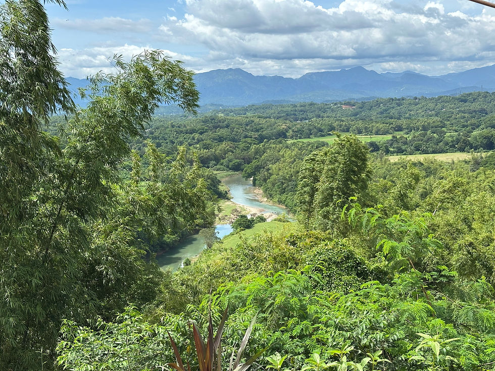 Landscape in Abra as seen in Peñarrubi, half an hour from Strutz Art Garden Resort. Lush green landscape with a winding river flowing through dense foliage. In the distance, mountains under a partly cloudy sky create a serene view.