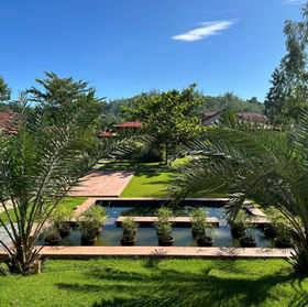 View froom Superior Twin Room into Gardens