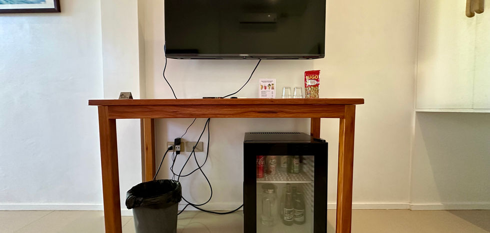 TV and Minibar in Superior Queen Room 2 in Strutz Art Garden Resort, Abra