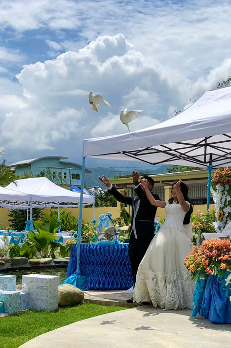 Releasing of doves