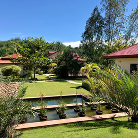 View from the Group Room into gardens