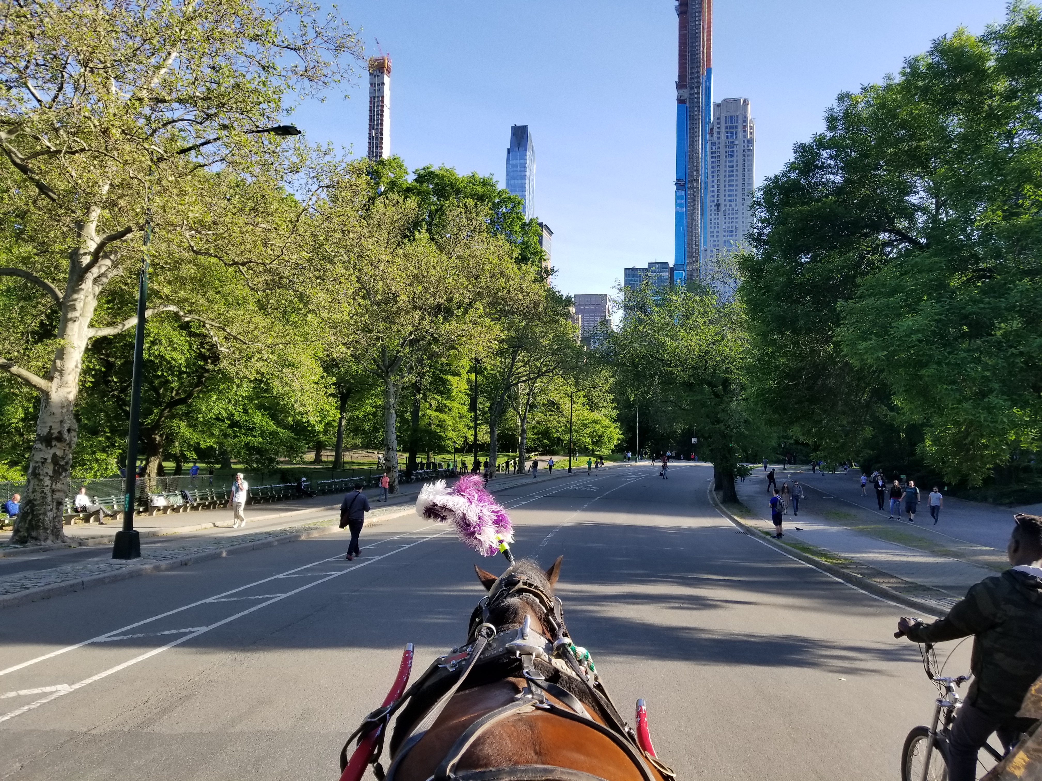 horse drawn carriage central park price horse drawn carriage central park price