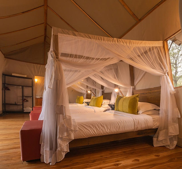 Serengeti Sayari Camp - Luxury Tent