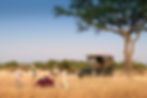 Breakfast Served in the wilderness of Serengeti National Park during Luxury Tanzania Safari