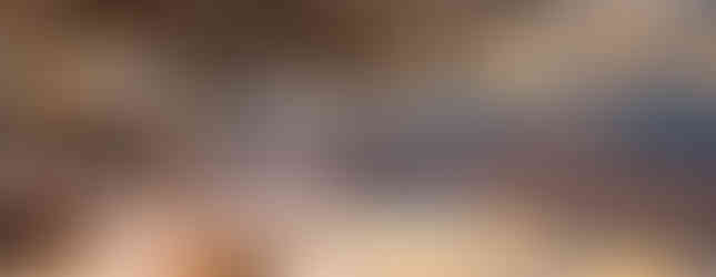 Oliver's Camp - Bar on Poolside