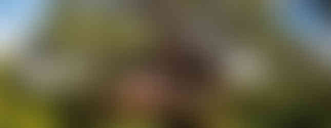 Tarangire Treetops Lodge - Outside Views