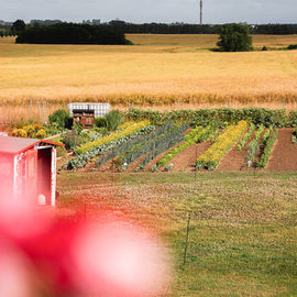 Der hauseigene Garten der Klützer Mühle, aus dem wir unsere kulinarischen Köstlichkeiten zaubern